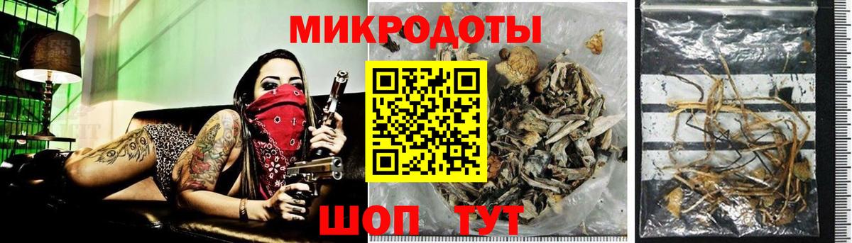 Псилоцибиновые грибы Cubensis  закладки  Вологда  Вход с VPN 